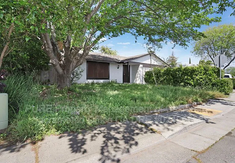6101 Tupelo Dr — Photo 4