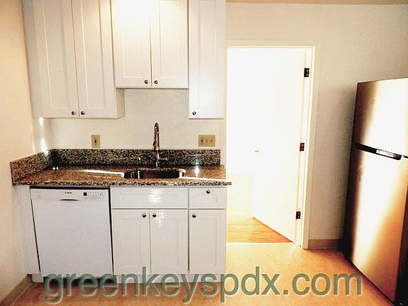 Stainless steel sink and updated dishwasher