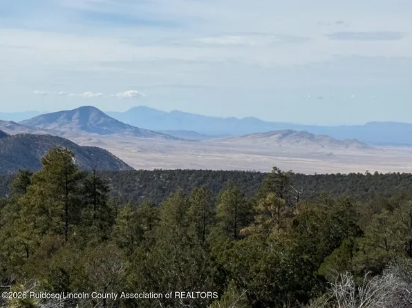 280 Indian Divide Rd, Capitan, NM 88316