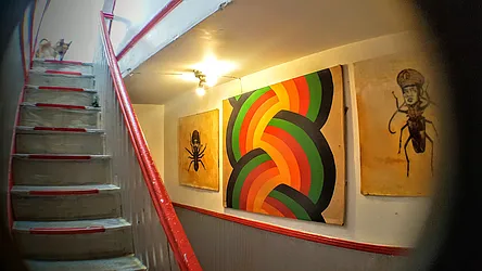 Rented by 585 Evergreen Avenue, LLC