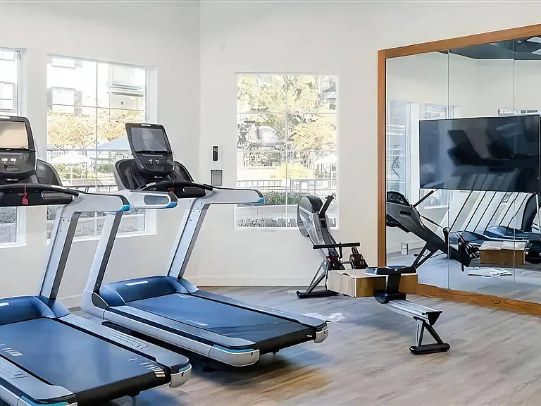 Fitness Center Featuring Treadmills, Rowing Machine, and Cardio Zone