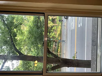 Rented by Chartwell Manhattan Realty