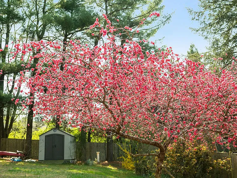 6 Grovepoint Ct — Photo 21