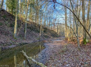 Rural Dale Rd, Blue Rock, OH 43720