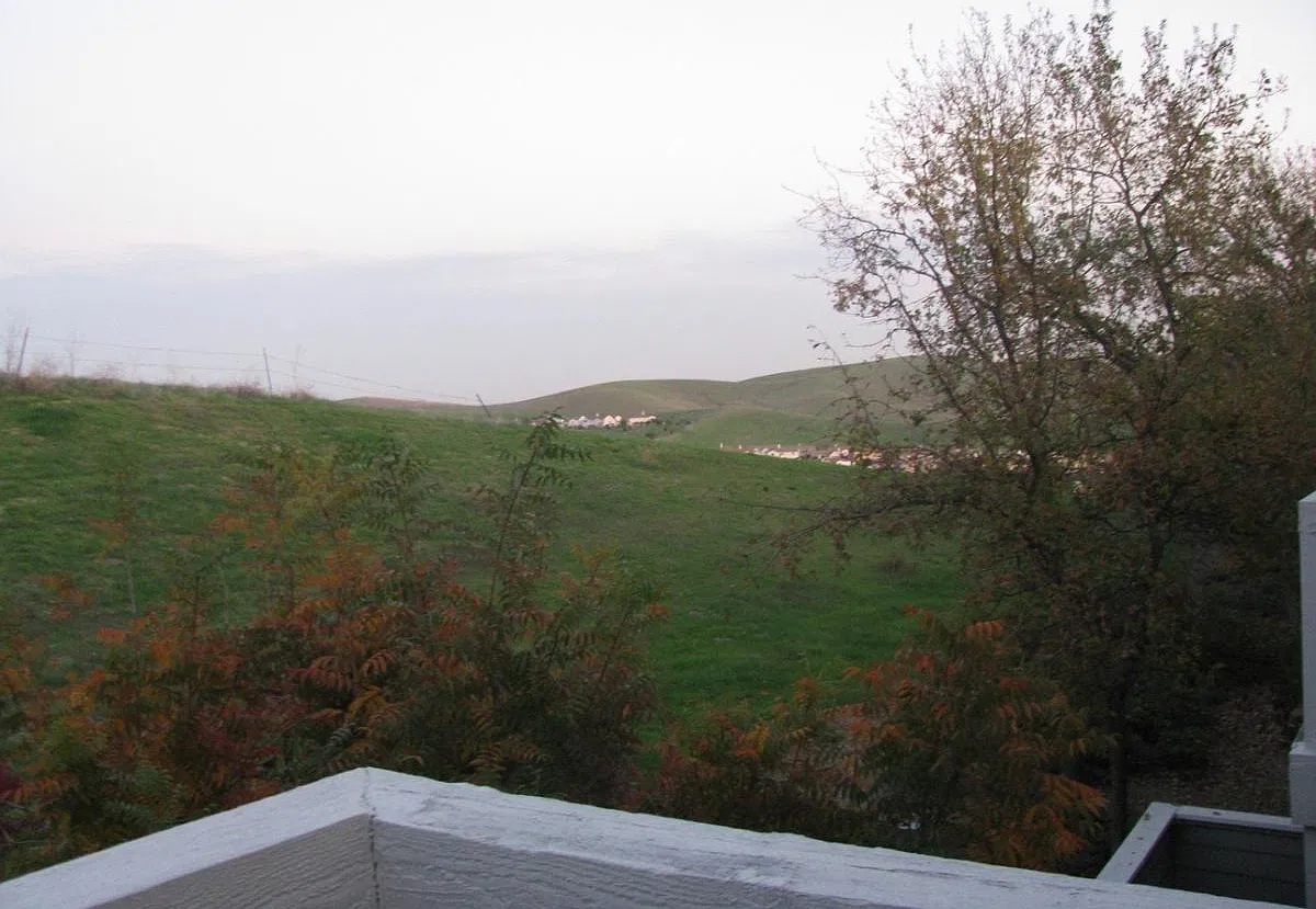 2 bed, 985 sqft, $2,800 — Photo 3
