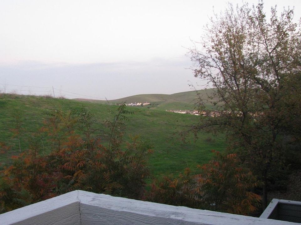 View from Patio