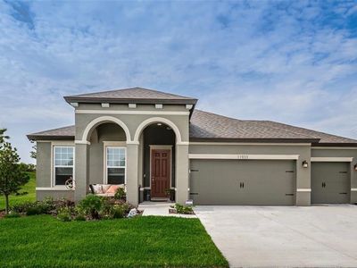 11933 Tetrafin Dr, Riverview, FL, 33579