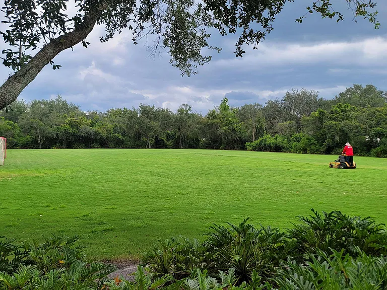 Public green lawn area