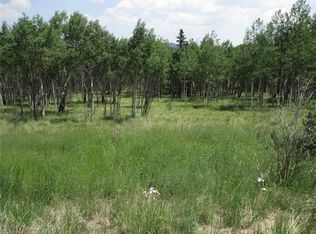 621 Hawk Way, Como, CO 80456