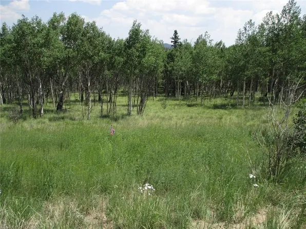 621 Hawk Way, Como, CO 80432