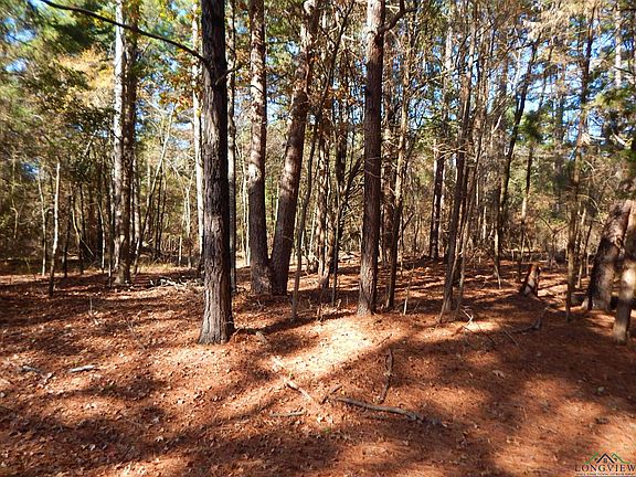 3rd image of 450 County Road 2359