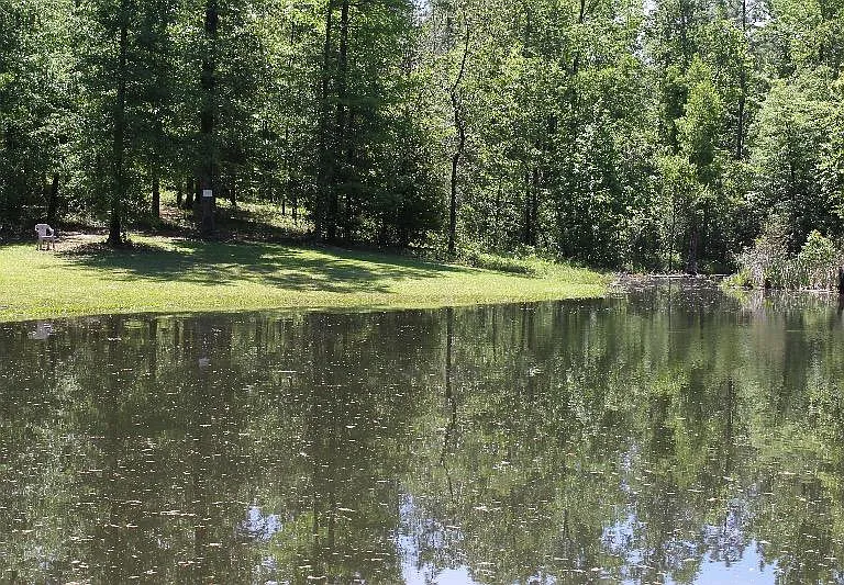 Pond and backyard