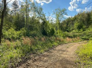 TRACT 10 Mount View Rd, Robbins, TN 37852