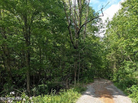 5th image of 158 Jess Ridge Rd