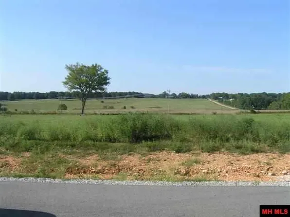 10 Lynn Ter, Gassville, AR 72635