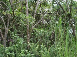 Government Beach Rd LOT 74, Pahoa, HI 96778