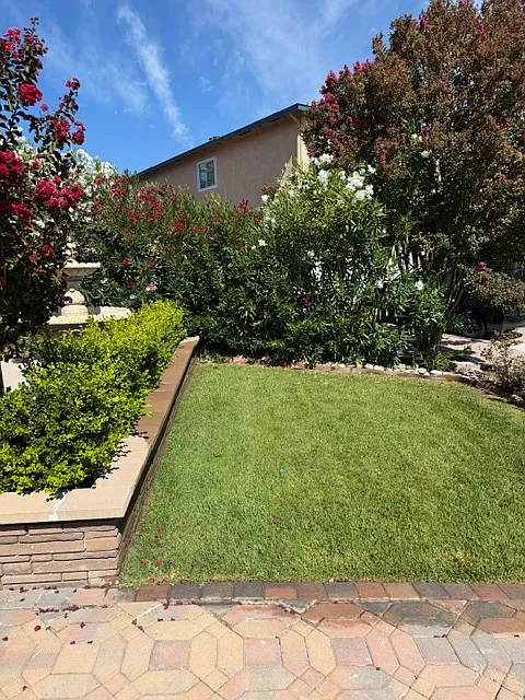 3 bed, 2.5 bath, 1722 sqft, $4,800 — Photo 3