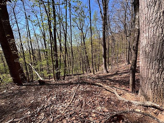 2nd image of 0 Sassafras Ct #4544