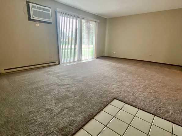 11610 Blackhawk Ct APT 1, Mokena, IL 60448