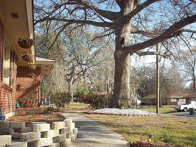 A giant live oak tree shades the home from lowcountry summer heat
