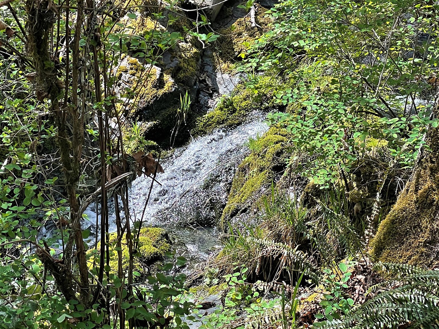 4280 Lower Wolf Creek Rd, Wolf Creek, OR 97497 Zillow