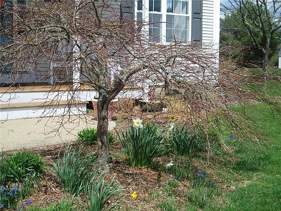 3rd image of 95 Straw Ln