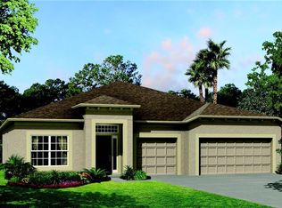 8115 Bird Whistle Ln, Land O Lakes, FL 34637