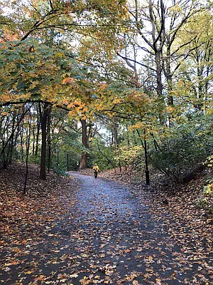 Rented by Space Real Estate | media 31