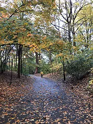 Rented by Space Real Estate