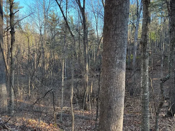 23 Dale, Basye, VA 22810