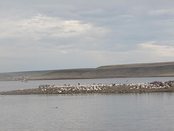 4th image of Wheat Basin Rd