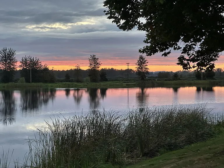Lake Tye