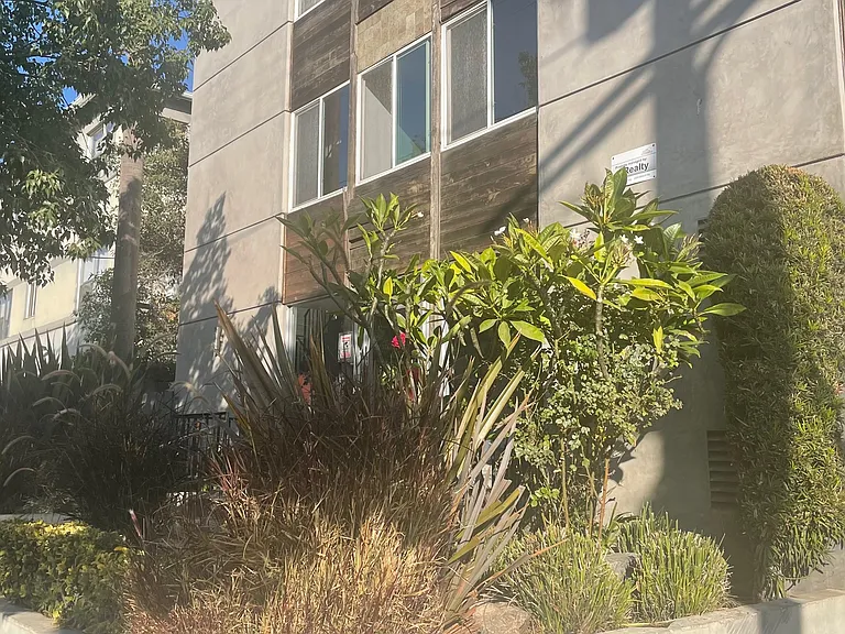 2542 N Beachwood Dr #6 — Photo 8
