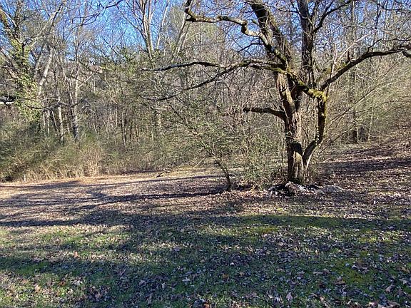 3rd image of 728 Ashley Forest Dr