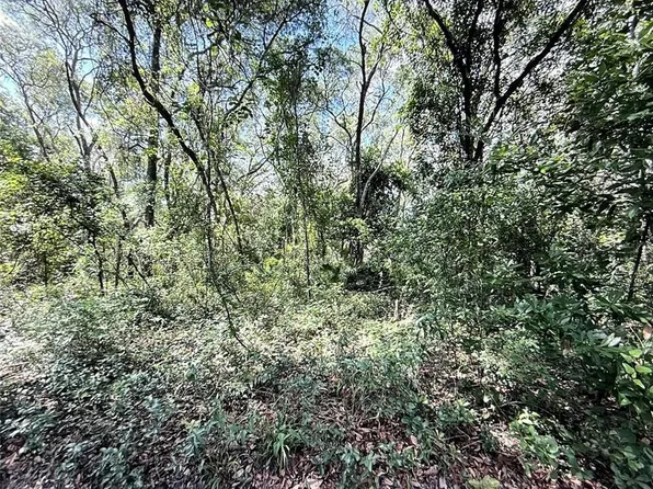 SW 150TH STREET LOT 5, DUNNELLON, FL 34432
