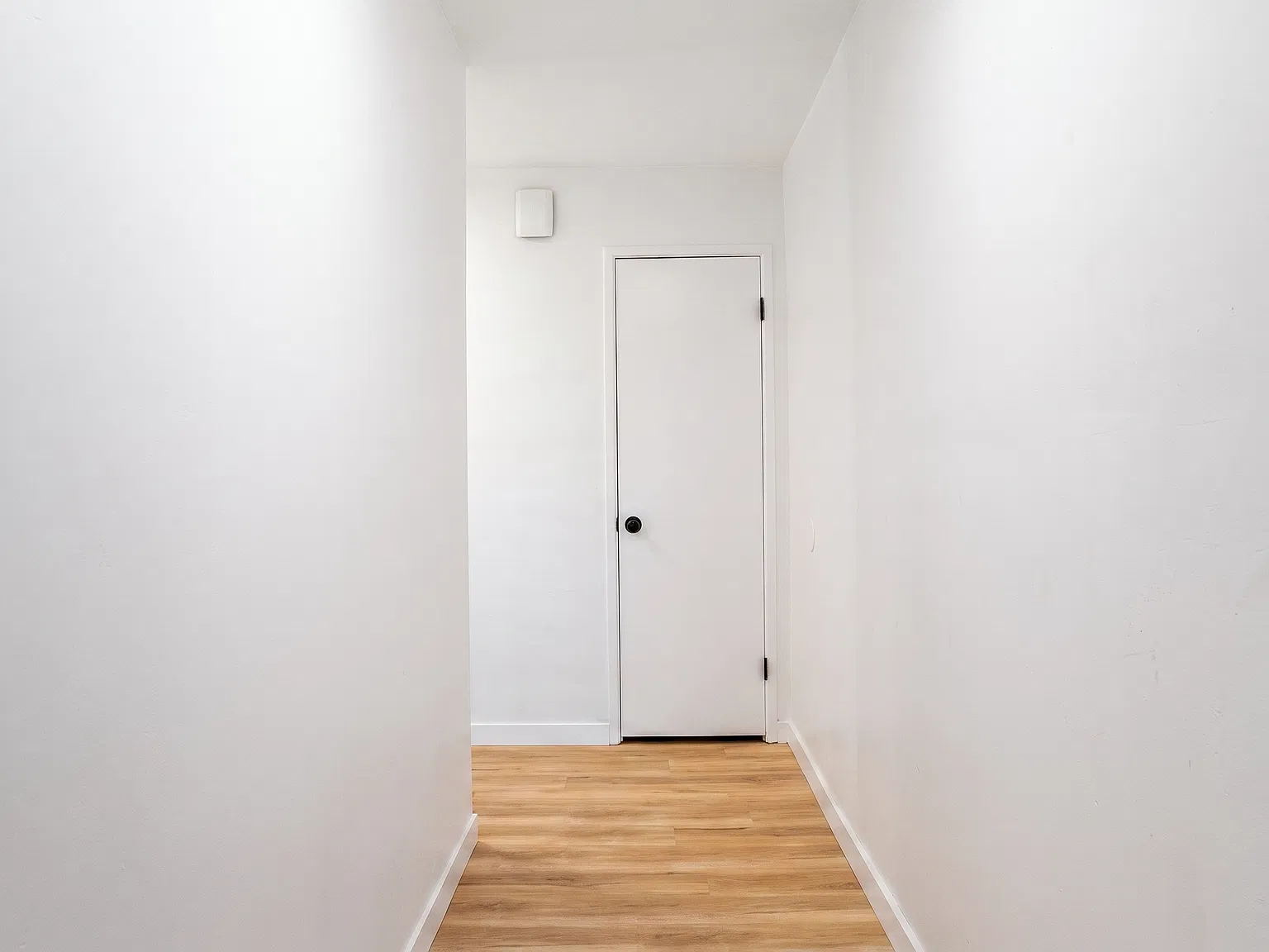 1 bed, $2,400 — Photo 2