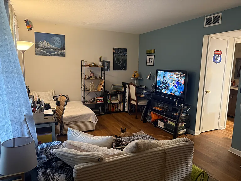 Living room leads to kitchen. Note: with fresh paint the walls are all a warm white now!