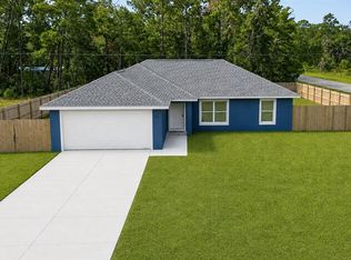 138 Fisher Run, Ocklawaha, FL 32179