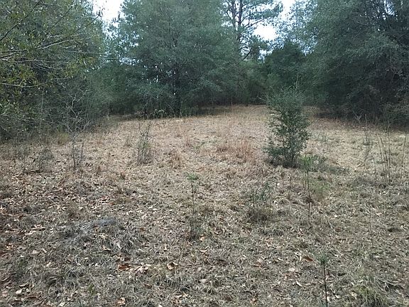 3rd image of 0 County Road 349