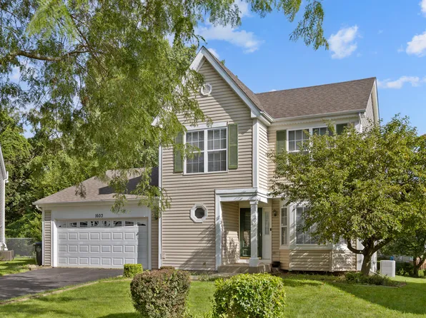 1603 Reading Cir, Carpentersville, IL 60110