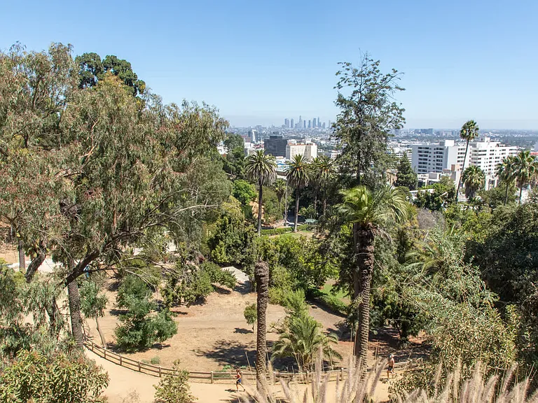 Traverse the paths of Hollywood Hills and Runyon Canyon Park.