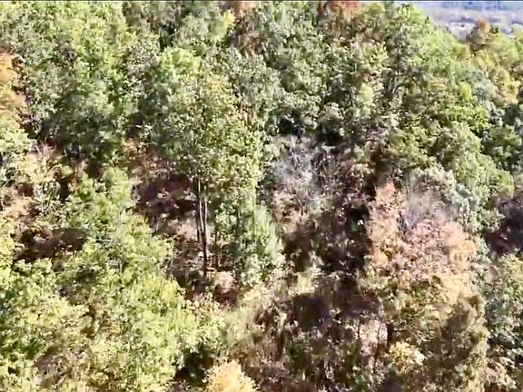 5th image of 1350 Rube Brown Rd