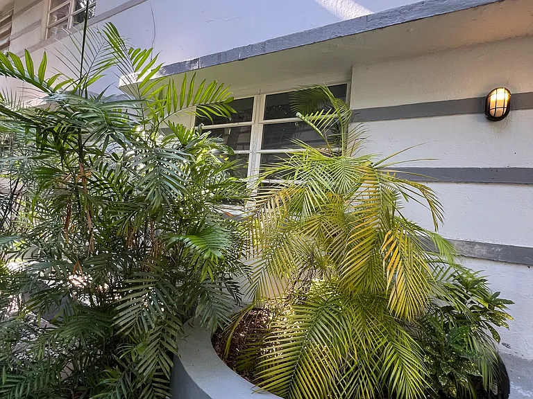 901 Euclid Ave #3 — Photo 3