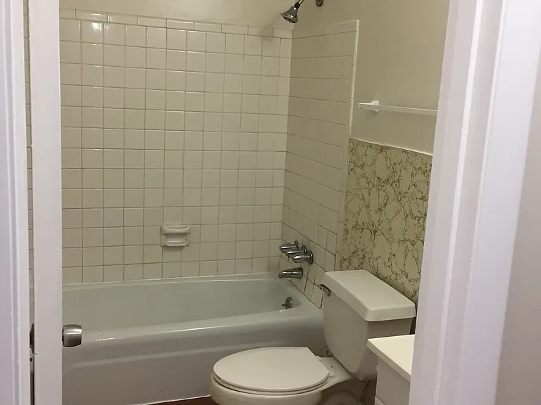 Hall Bathroom