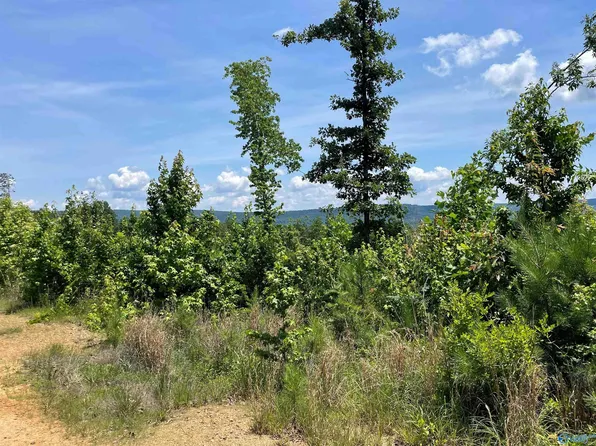 Hornbuckle Rd, Collinsville, AL 35961
