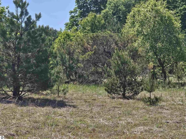 V/l Se Grass Lake Rd Parcel C, Kalkaska, MI 49646