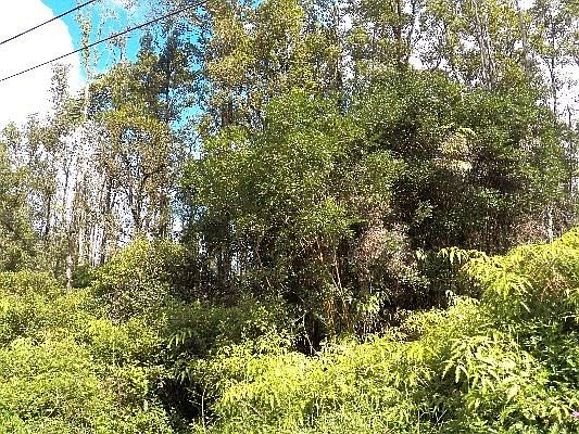 1st image of Sugarcane Ln Lot 67