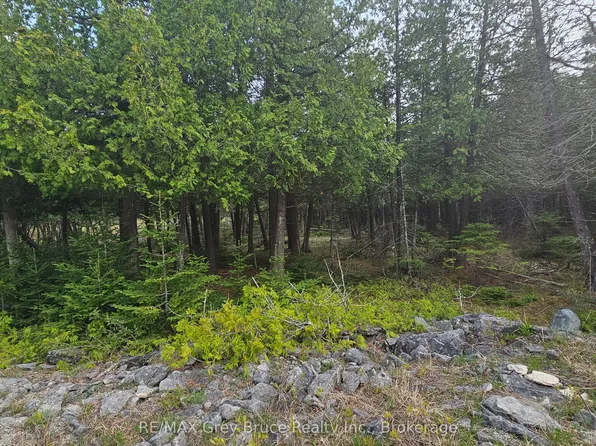 LOT 254 Dorcas Bay Rd, Northern Bruce Peninsula, ON N0H 2R0