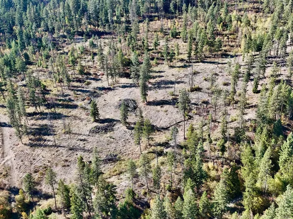 LOT 3 Deadman Creek Rd, Kettle Falls, WA 99141
