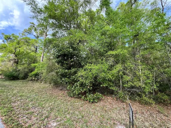 NW 74th Ct Lot 111, Chiefland, FL 32626